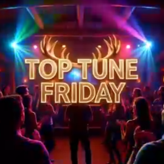 Screenshot 2025-12-10 005918